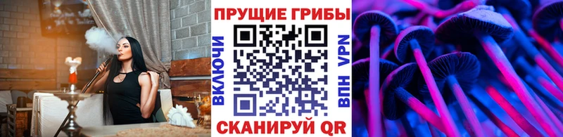 хочу наркоту Сибай ссылка на мегу зеркало Псилоцибиновые грибы прущие грибы